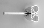 Ohrstecker mit Poucette gezackt